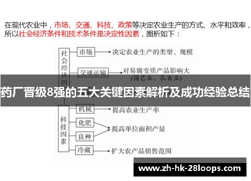 药厂晋级8强的五大关键因素解析及成功经验总结 药厂晋级8强的五大关键因素解析及成功经验总结