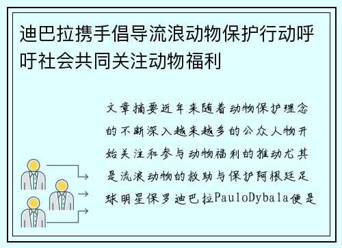 迪巴拉携手倡导流浪动物保护行动呼吁社会共同关注动物福利