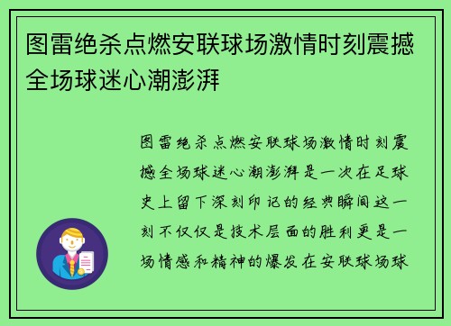 图雷绝杀点燃安联球场激情时刻震撼全场球迷心潮澎湃