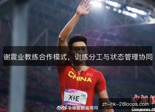 谢震业教练合作模式,训练分工与状态管理协同 谢震业教练合作模式,训练分工与状态管理协同